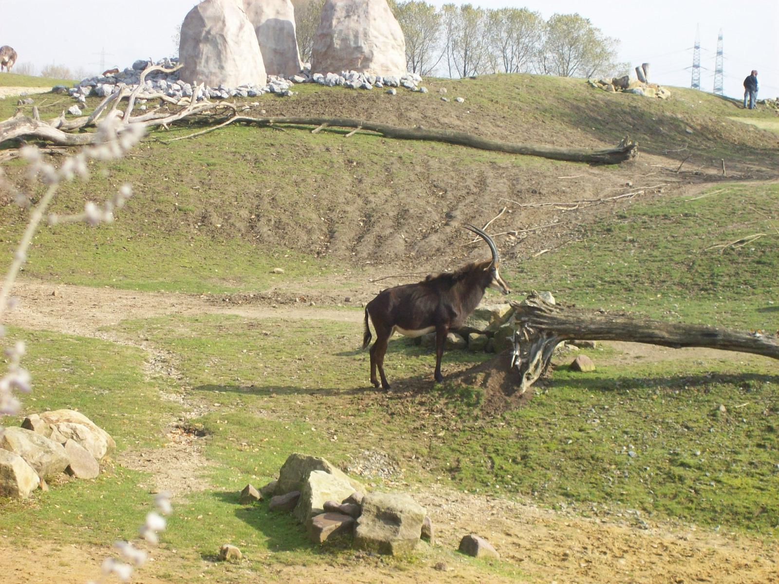 Zoom 18.10.2008-076.jpg
